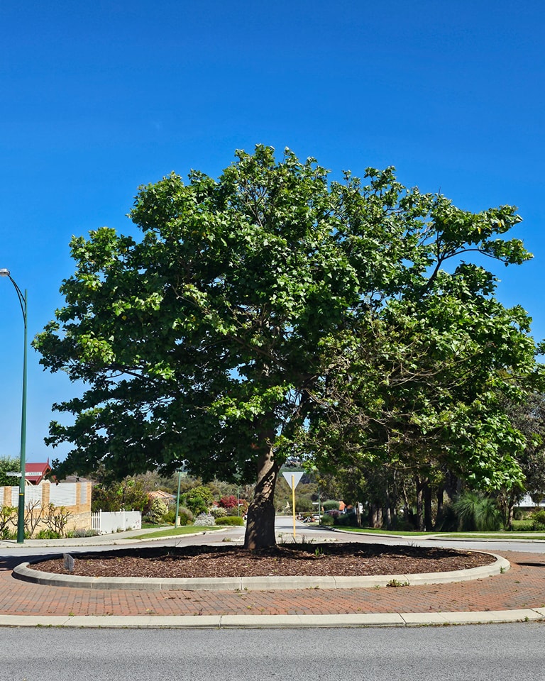 Community photo